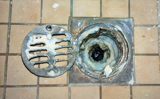 https://blockeddrainshamiltonhill.com.au/uploads/2025/07/blocked-shower-drains-33151.jpg