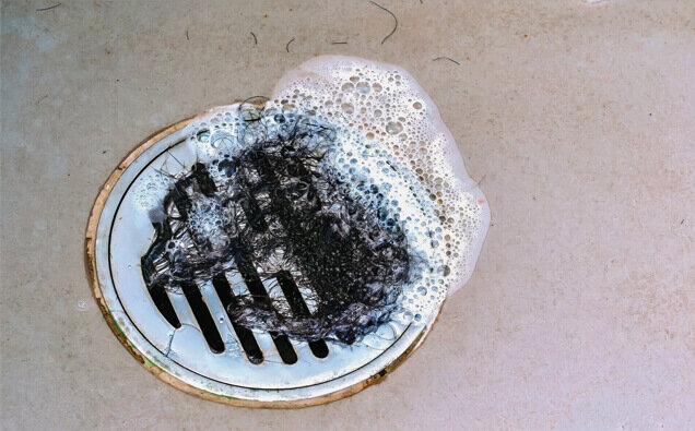 https://blockeddrainshamiltonhill.com.au/uploads/2025/07/blocked-shower-drains-76585.jpg