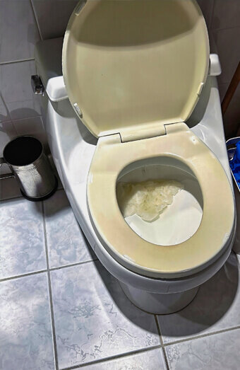 https://blockeddrainshamiltonhill.com.au/uploads/2025/07/blocked-toilet-27293.jpg
