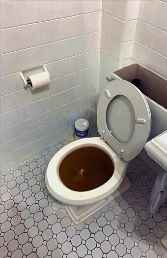 https://blockeddrainshamiltonhill.com.au/uploads/2025/07/blocked-toilet-42230.jpg