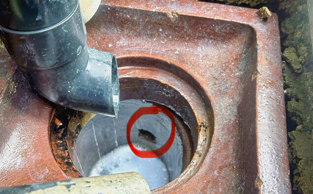 https://blockeddrainshamiltonhill.com.au/uploads/2025/07/hero-blocked-sewers-17074.jpg