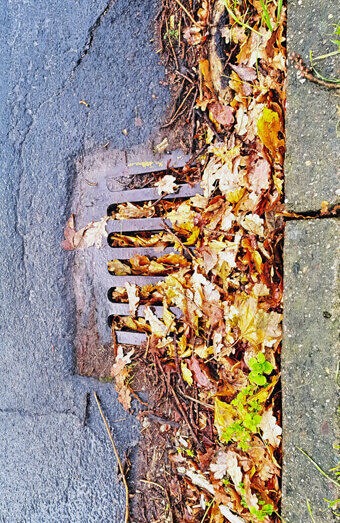 https://blockeddrainshamiltonhill.com.au/uploads/2025/07/stormwater-drains-48051.jpg